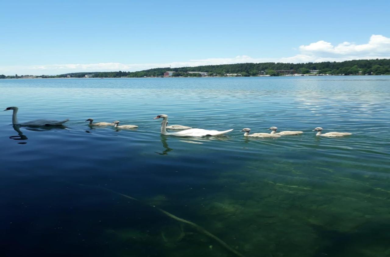 Pension Carina Sankt Kanzian am Klopeiner See Exteriér fotografie